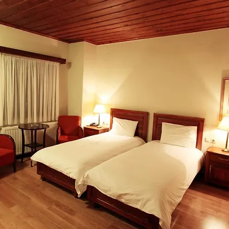 Papanastasiou 2* Elati (Trikala)