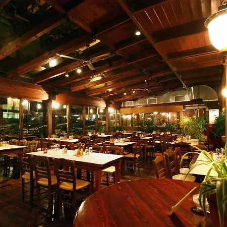 Papanastasiou Hotel Elati (Trikala)